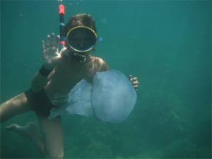Достопримечательности Туниса медузы